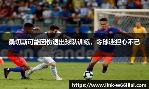 利来66国际